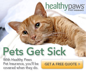 Healthy Paws Pet Insurance