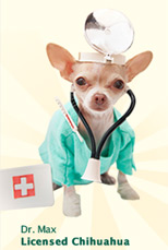Healthy Paws Pet Insurance and Foundation