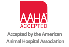 Accepted by the American Animal Hospital Association
