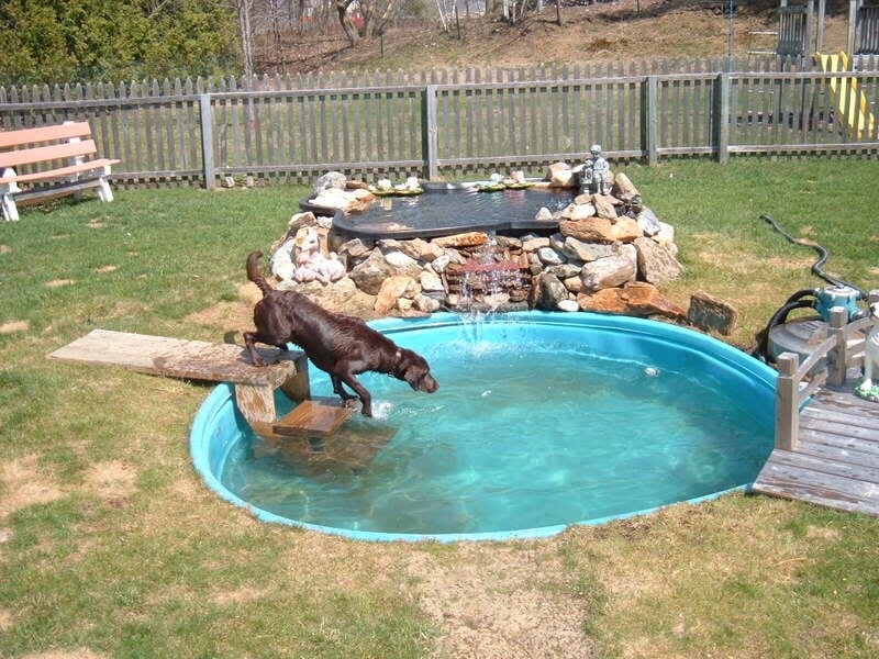 large backyard pool