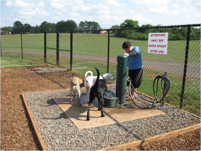 doggie park
