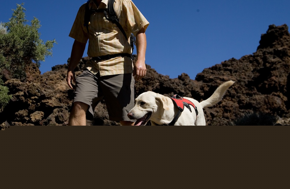 Hiking With Dog