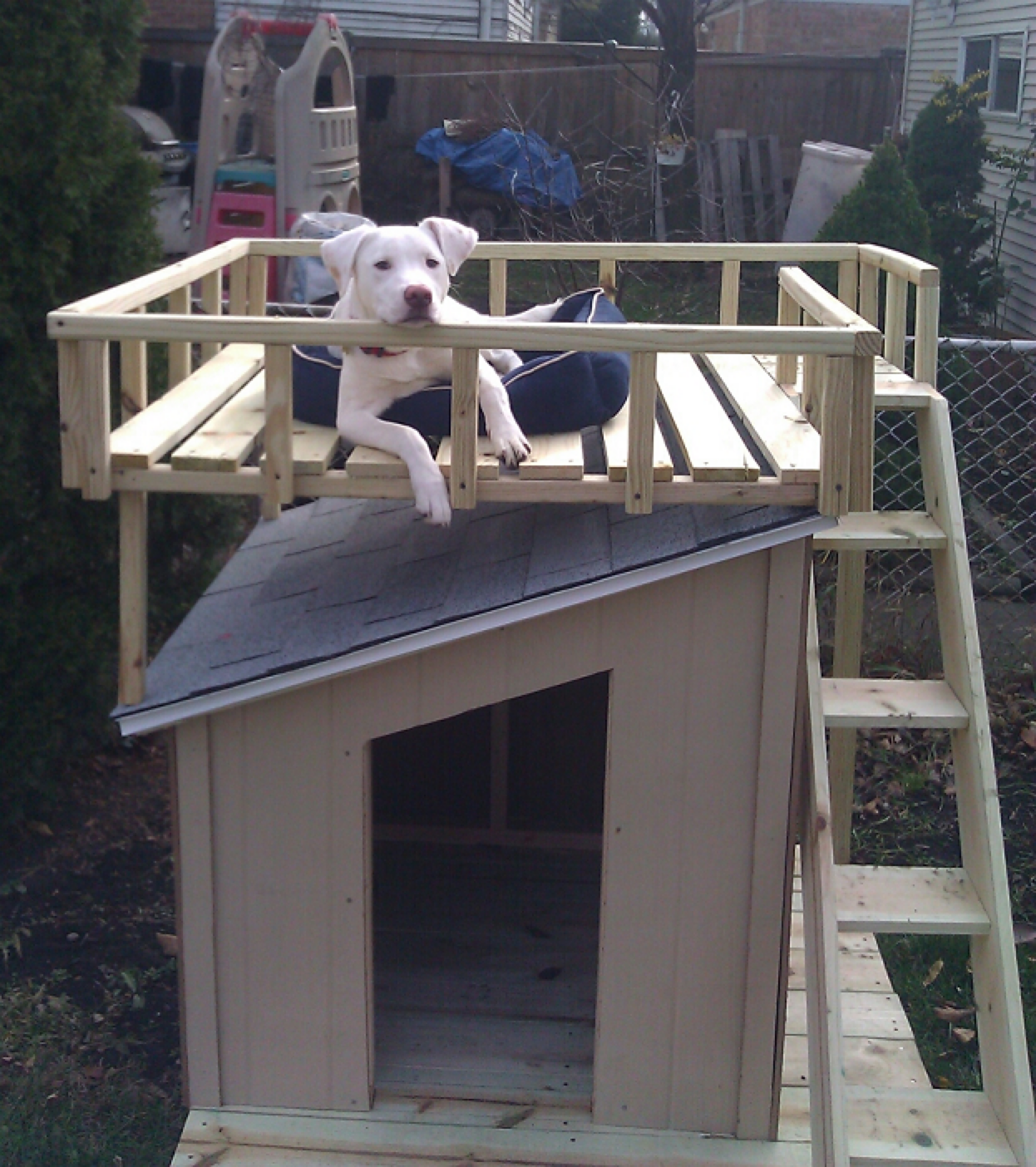 Droolworthy DIY Dog Houses
