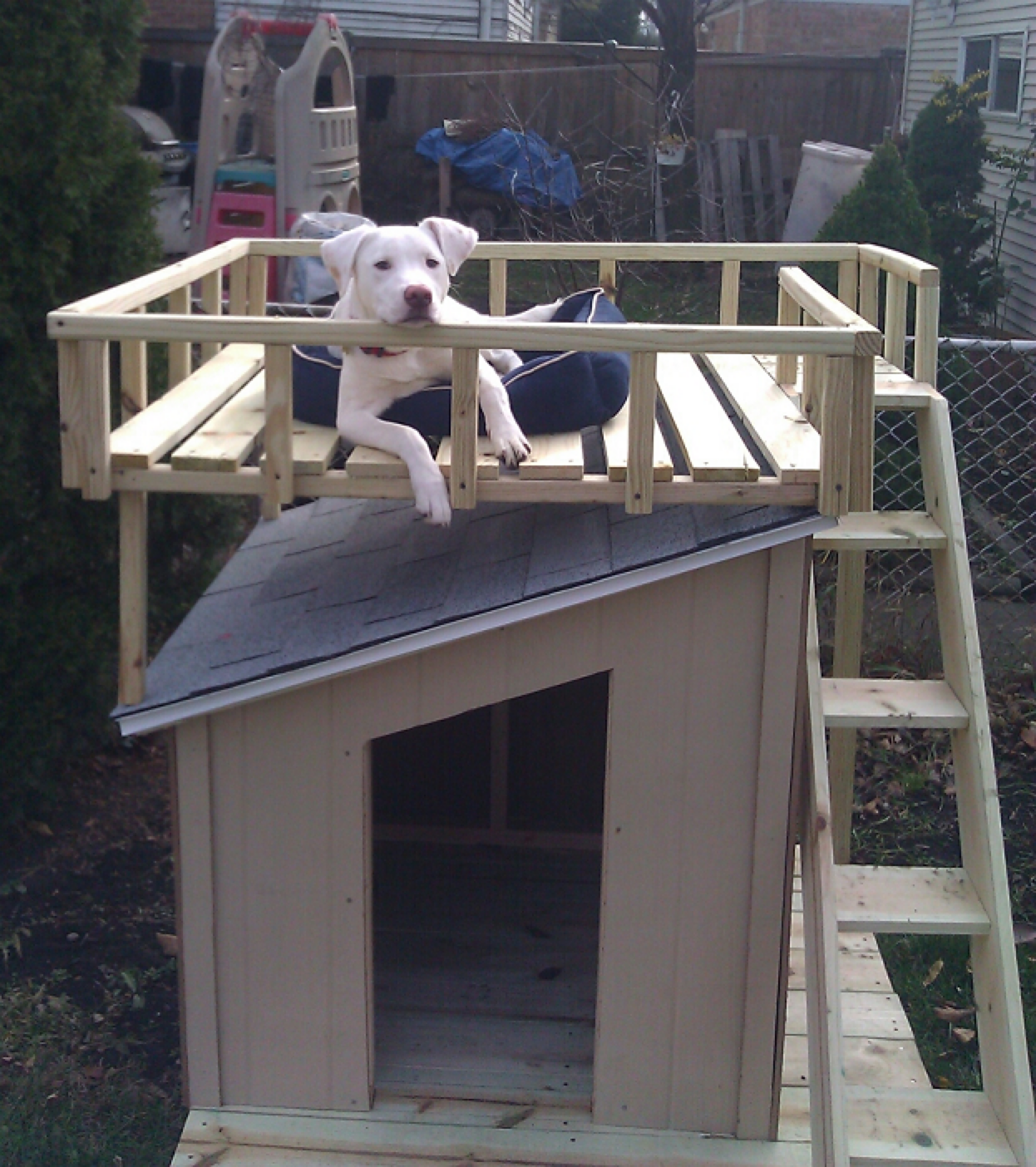 Build An Insulated Dog House How To Build An Insulated Dog House | Dog 