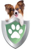 Pet Insurance with Comprehensive Coverage