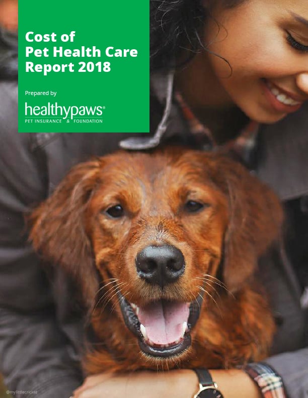 Is Pet Insurance Worth the Cost? Healthy Paws Pet Insurance