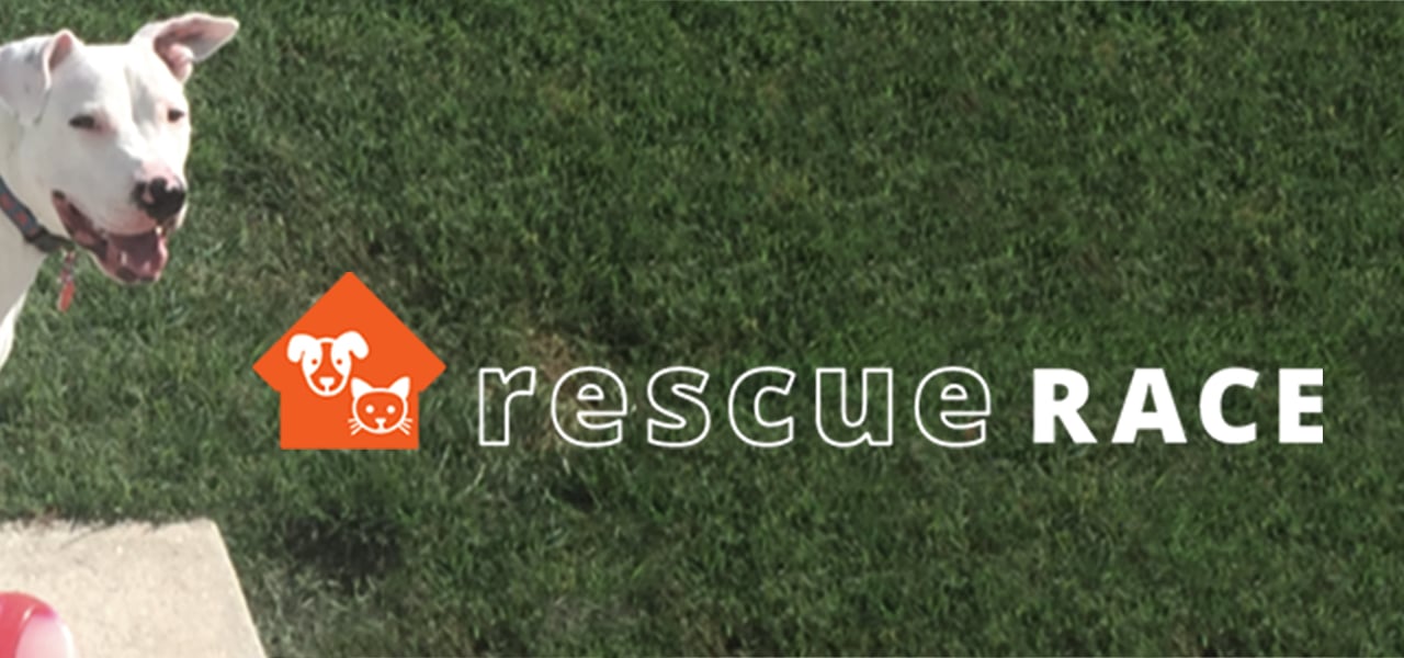 Rescue Race 2019
