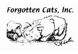 logo forgotten cats