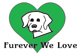 logo furever we love