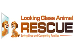 logo looking glass animal rescue