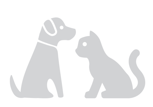 chronic condition for dog and cat