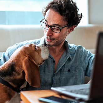 pet insurance employee benifits