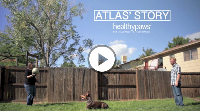 Atlas Video