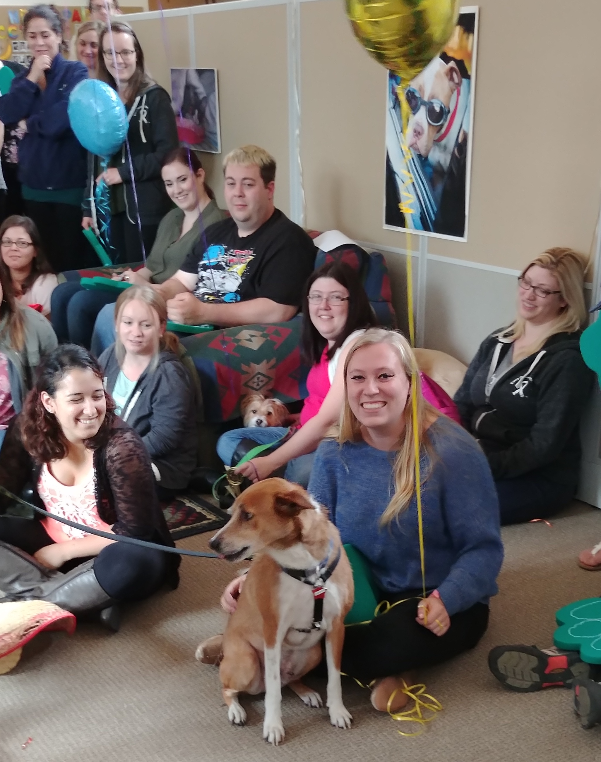 A Pawsitive Approach To Finding Your Pet Friendly Dream Home In Joplin