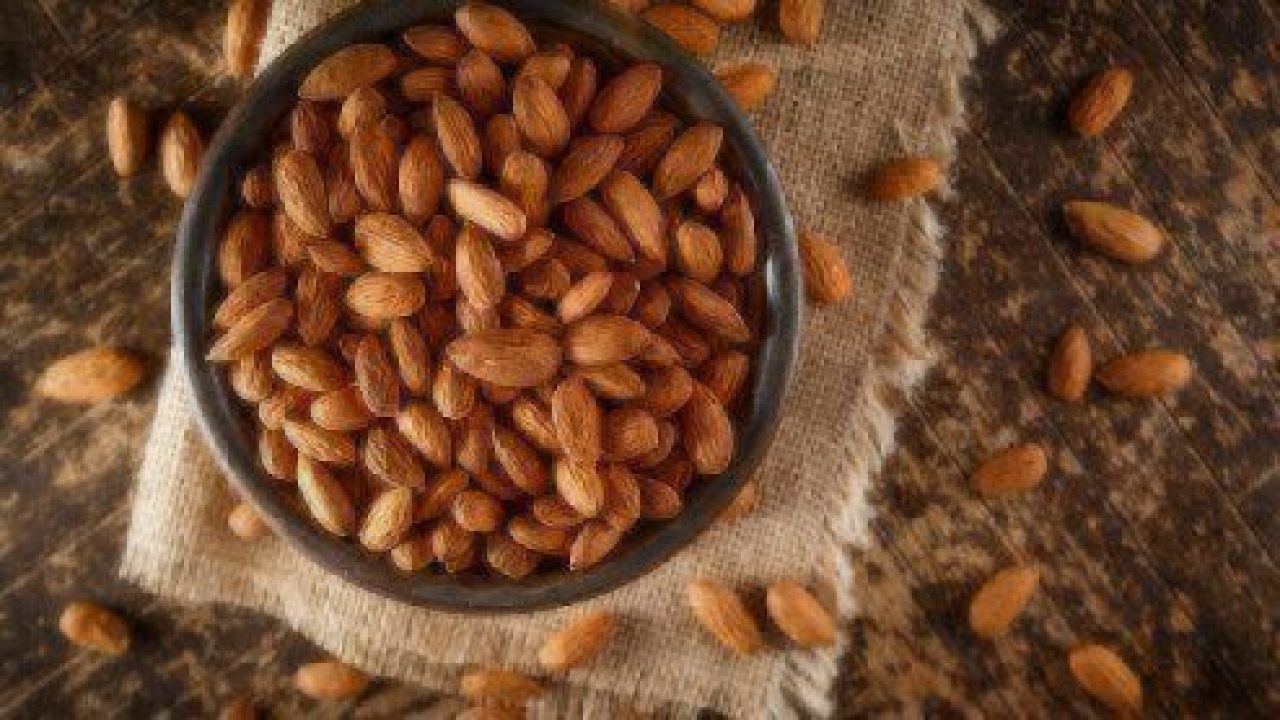 Can Dogs Eat Almonds? Healthy Paws