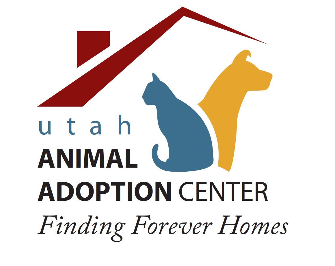Get To Know Utah Animal Adoption Center Healthy Paws