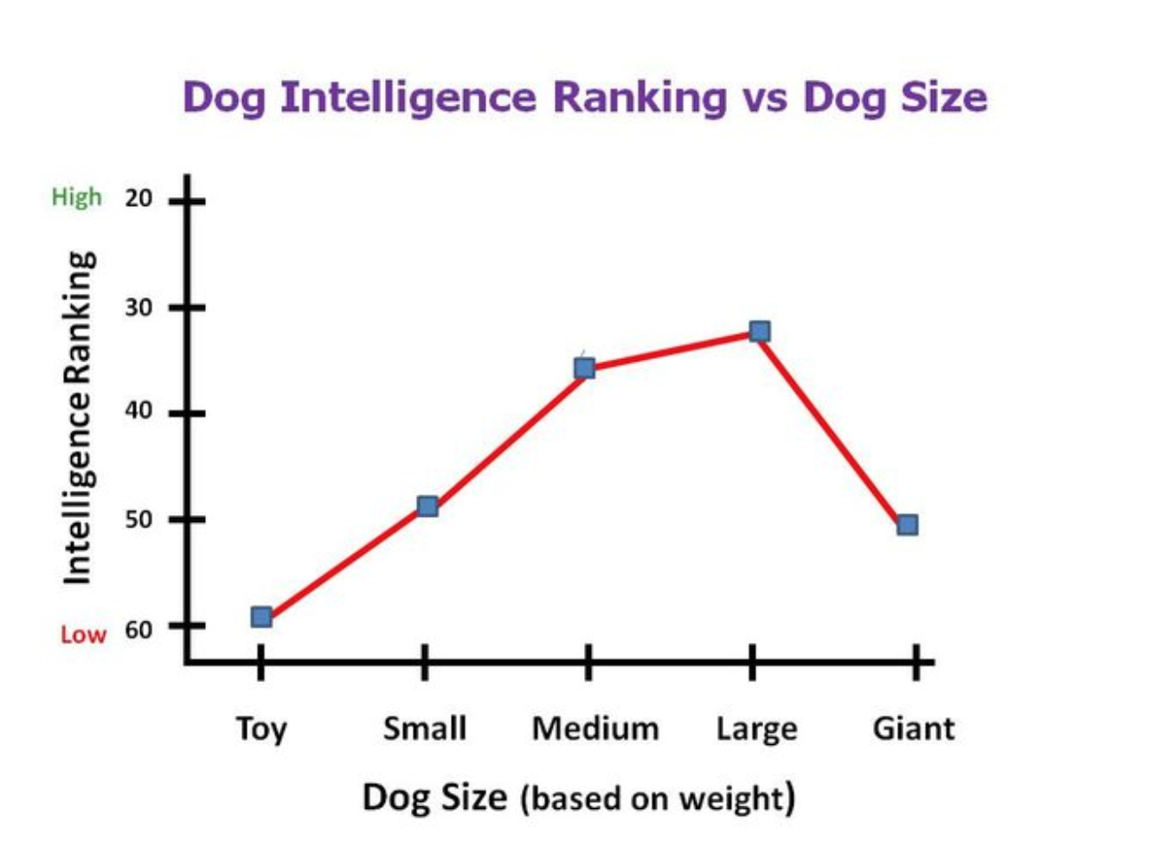 great dane intelligence ranking
