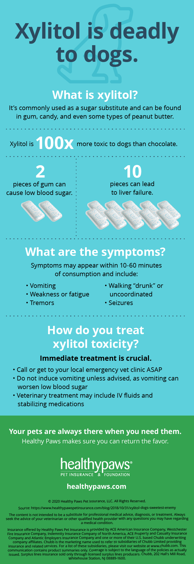 Xylitol, Dogs' Sweetest Enemy