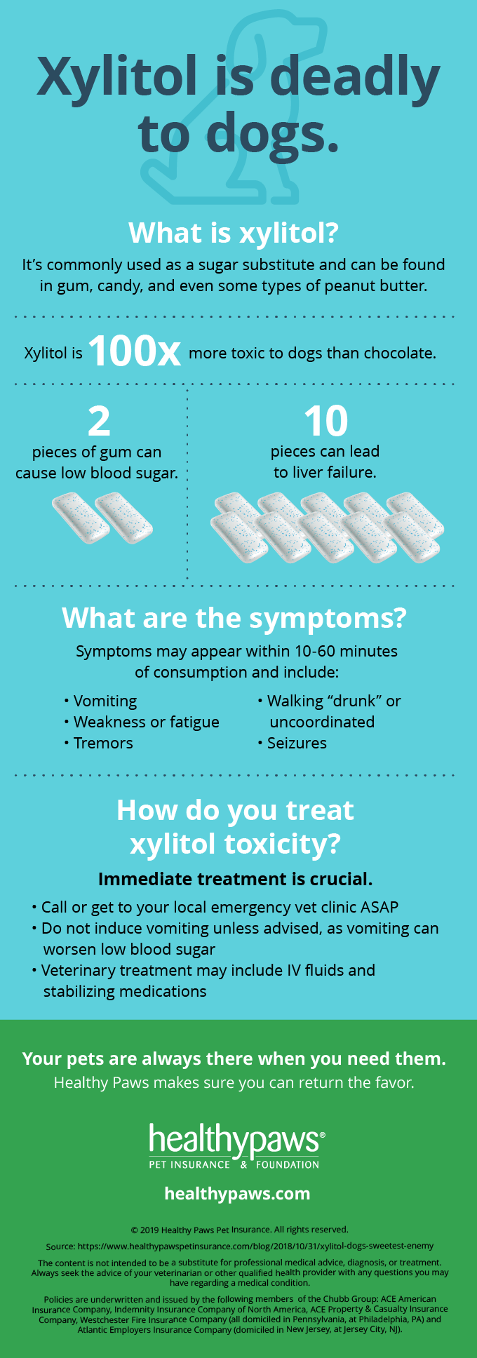 Xylitol, Dogs' Sweetest Enemy