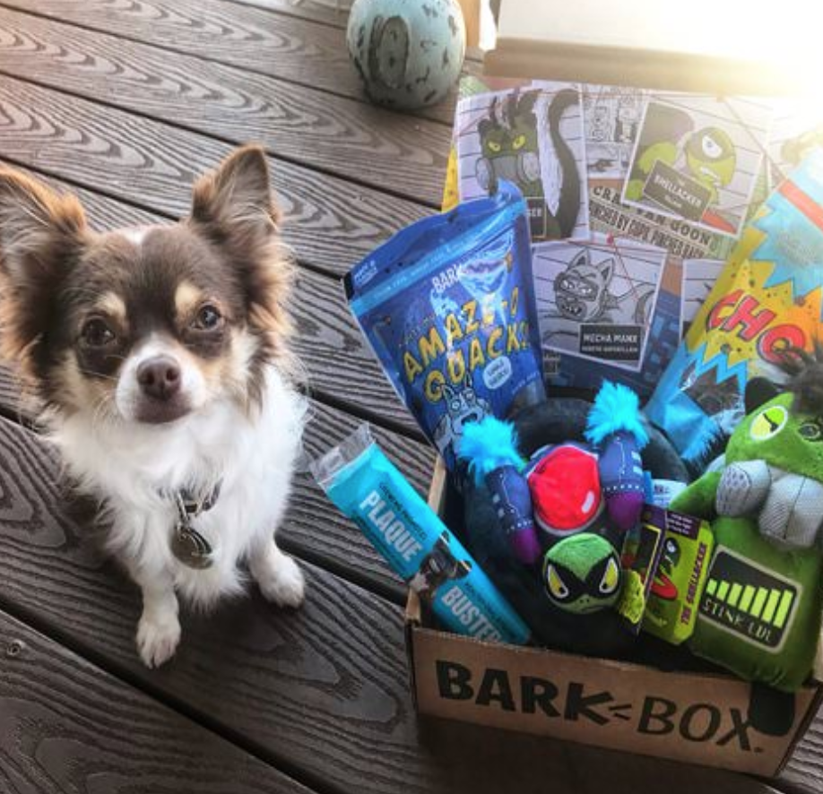 6 Subscription Boxes for Cats and Dogs That Give Back Healthy Paws