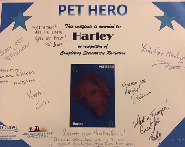 Dog certificate for completing cancer radiation therapy