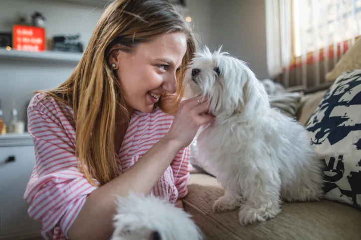 Is Fostering a Dog Right For You? | Healthy Paws Pet Insurance