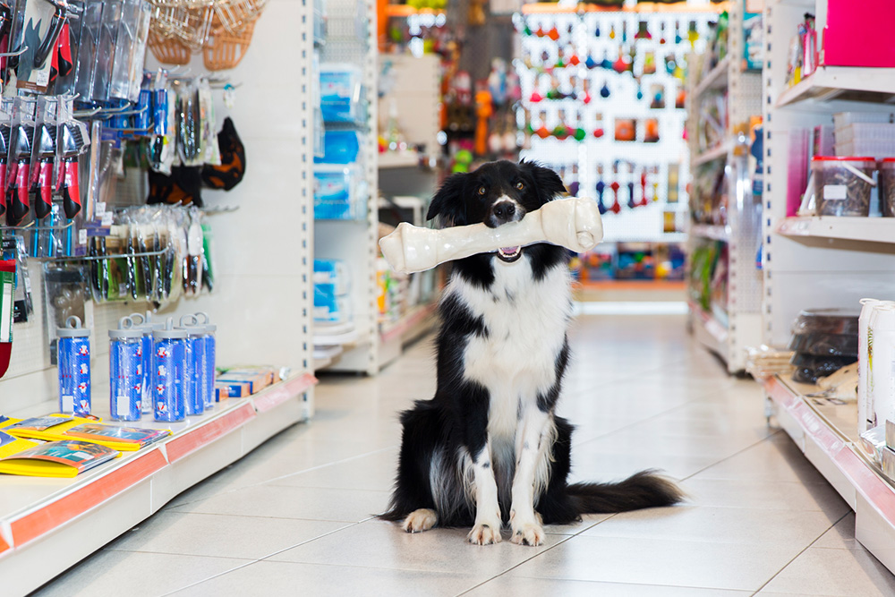Are Veterinarians and Pet Supply Stores Deemed 'Essential ...