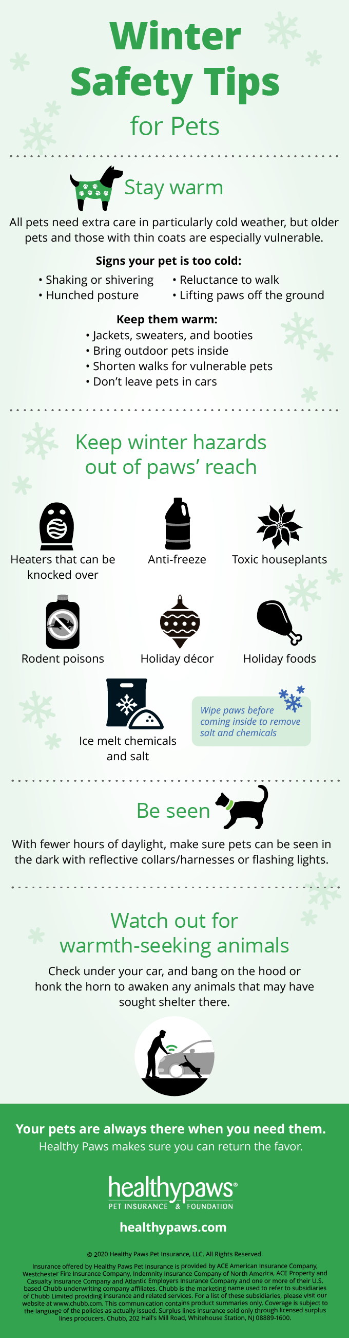 Infographic: Winter Safety Tips for Pets - Healthy Paws Pet Insurance