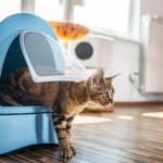 brown cat walking out of enclosed litter box