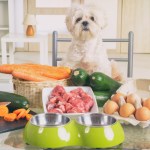 white scruffy dog sitting behind fresh veggies