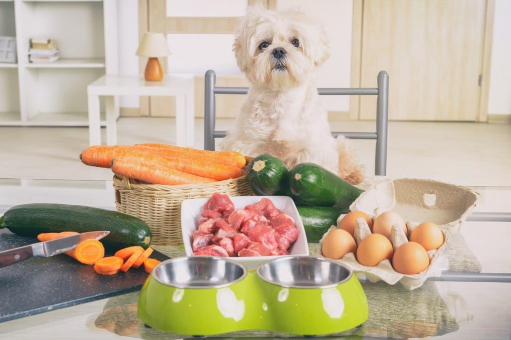 white scruffy dog sitting behind fresh veggies