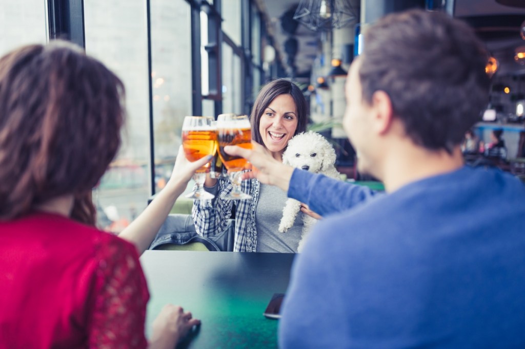 Group of Friends Drinking Beer at Bar, talking having fun