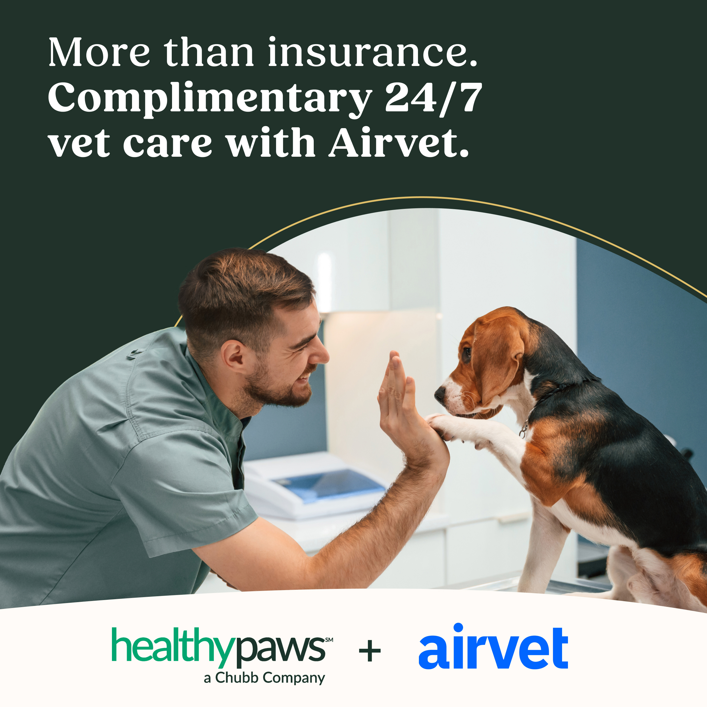 Vet high-fiving dog - Airvet announcement