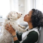 A portrait of happy mature woman sitting indoors at home, playing with dog.