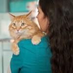 vet tech holding orange cat