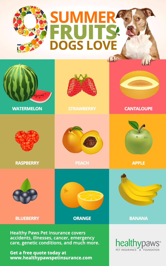 Dog Fruit Chart