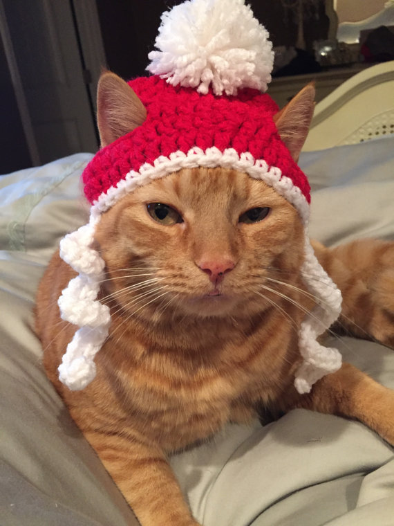 9 Cats Wearing Ridiculous Christmas Hats
