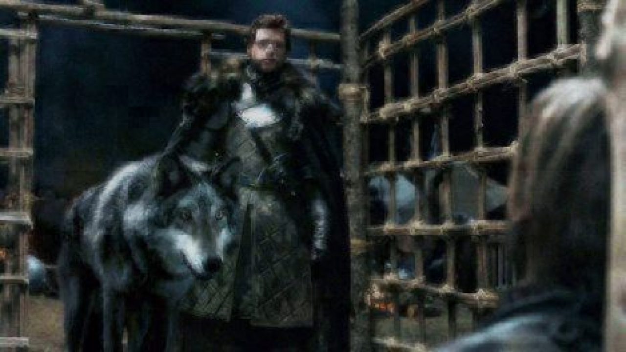 The Best Game of Thrones Pet Names Healthy Paws