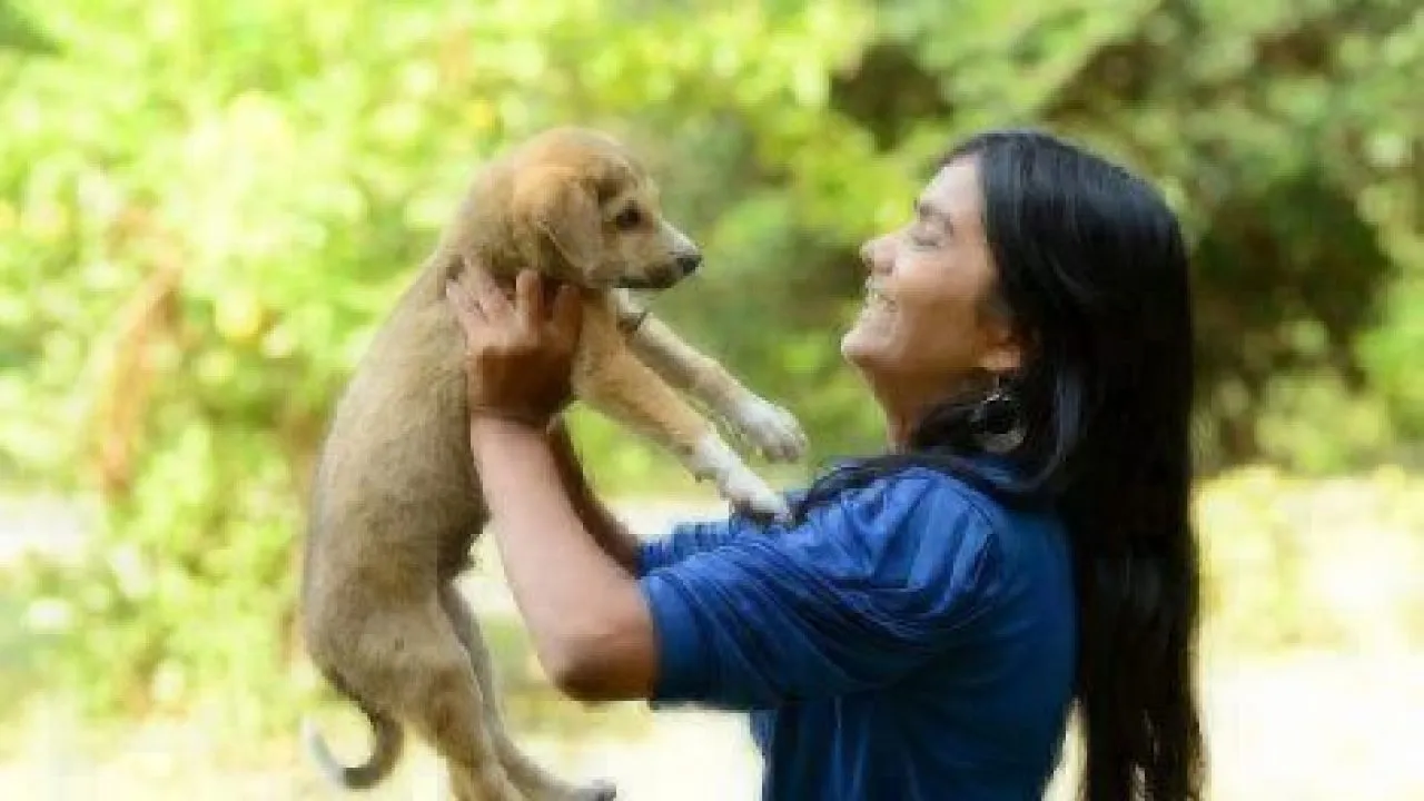 what to know adopting buying new dog