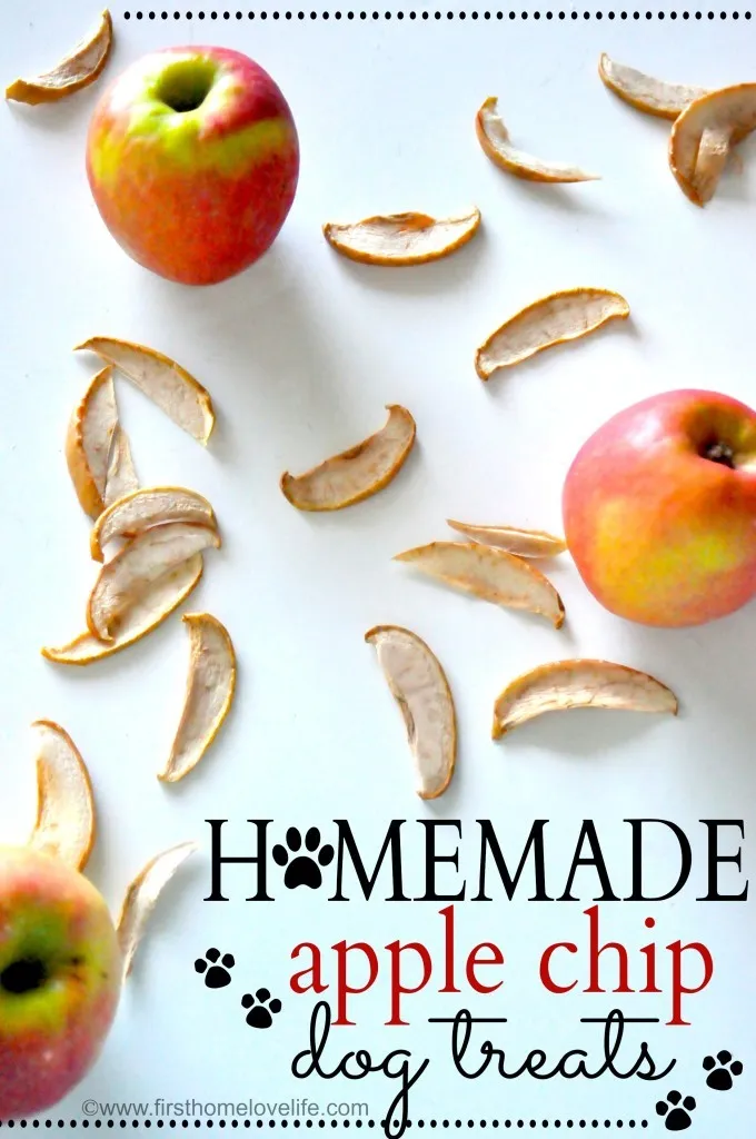 apple dog treats recipe