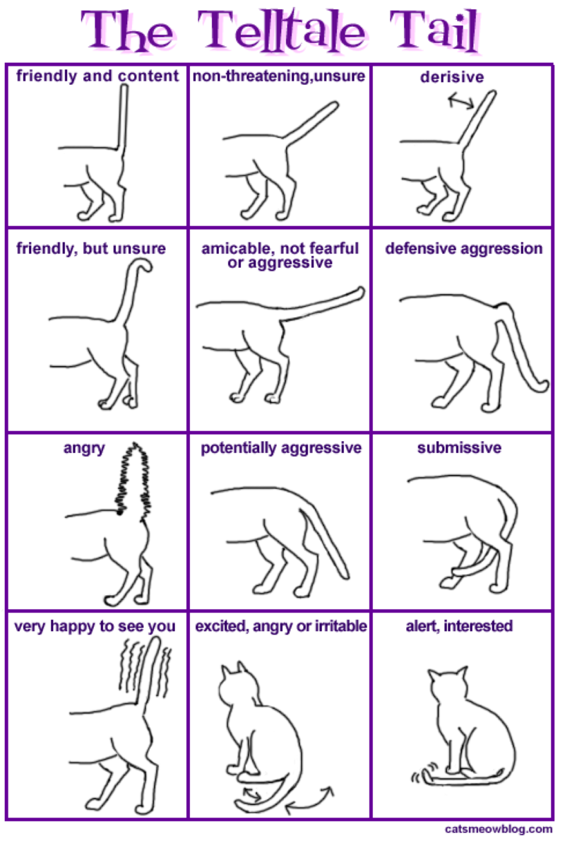 Body Meaning Chart