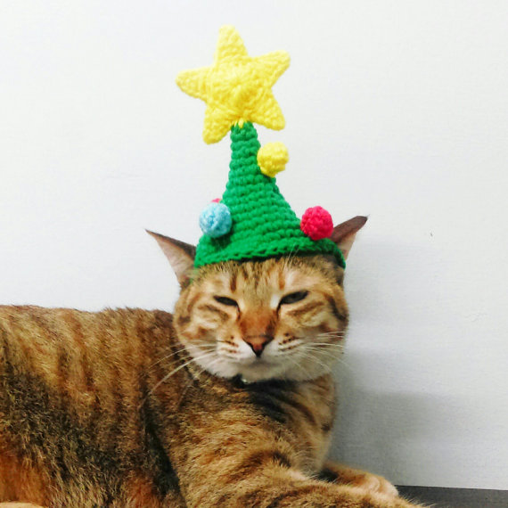 9 Cats Wearing Ridiculous Christmas Hats
