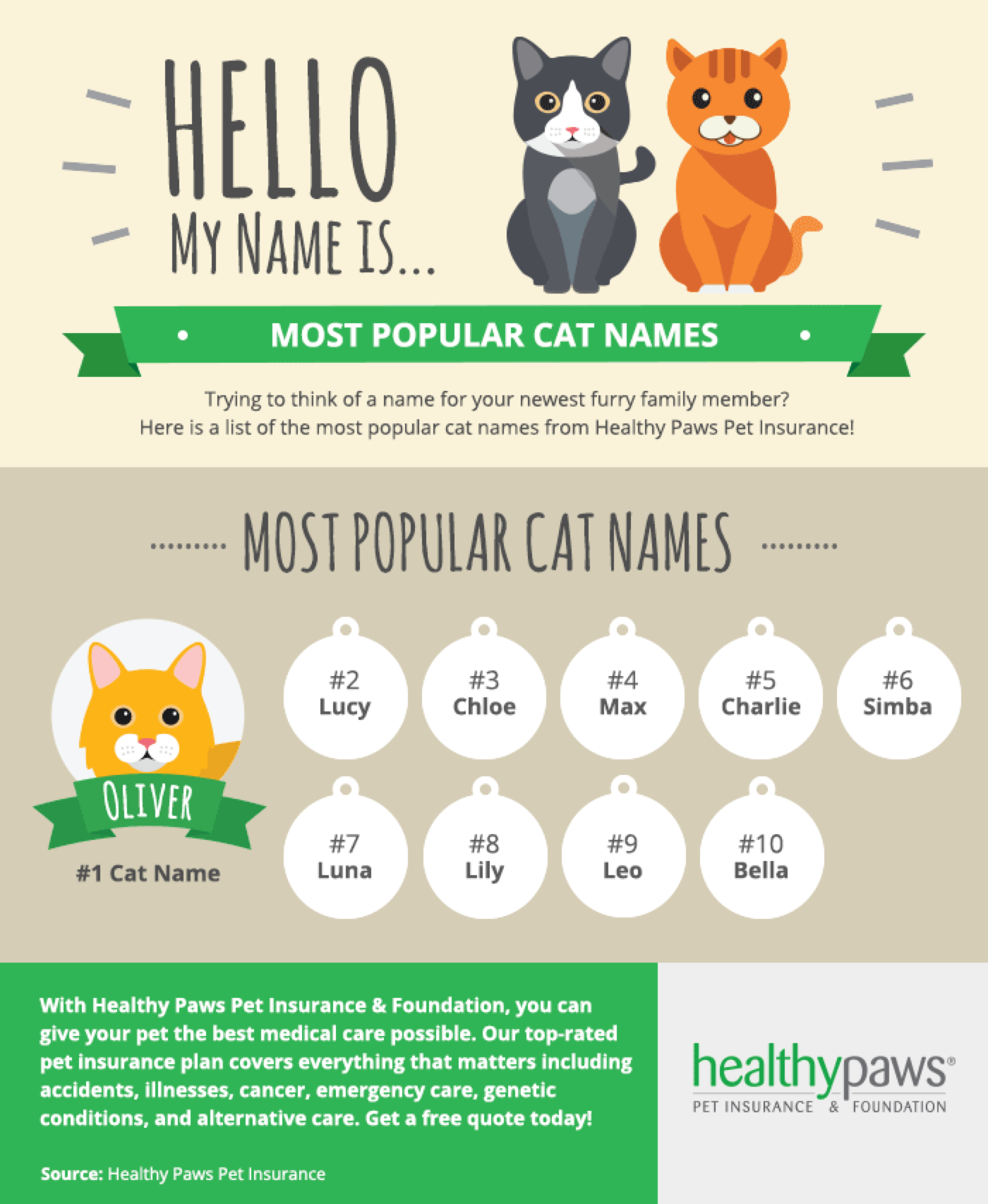 Popular Cute Cat Names | Healthy Paws Pet Insurance