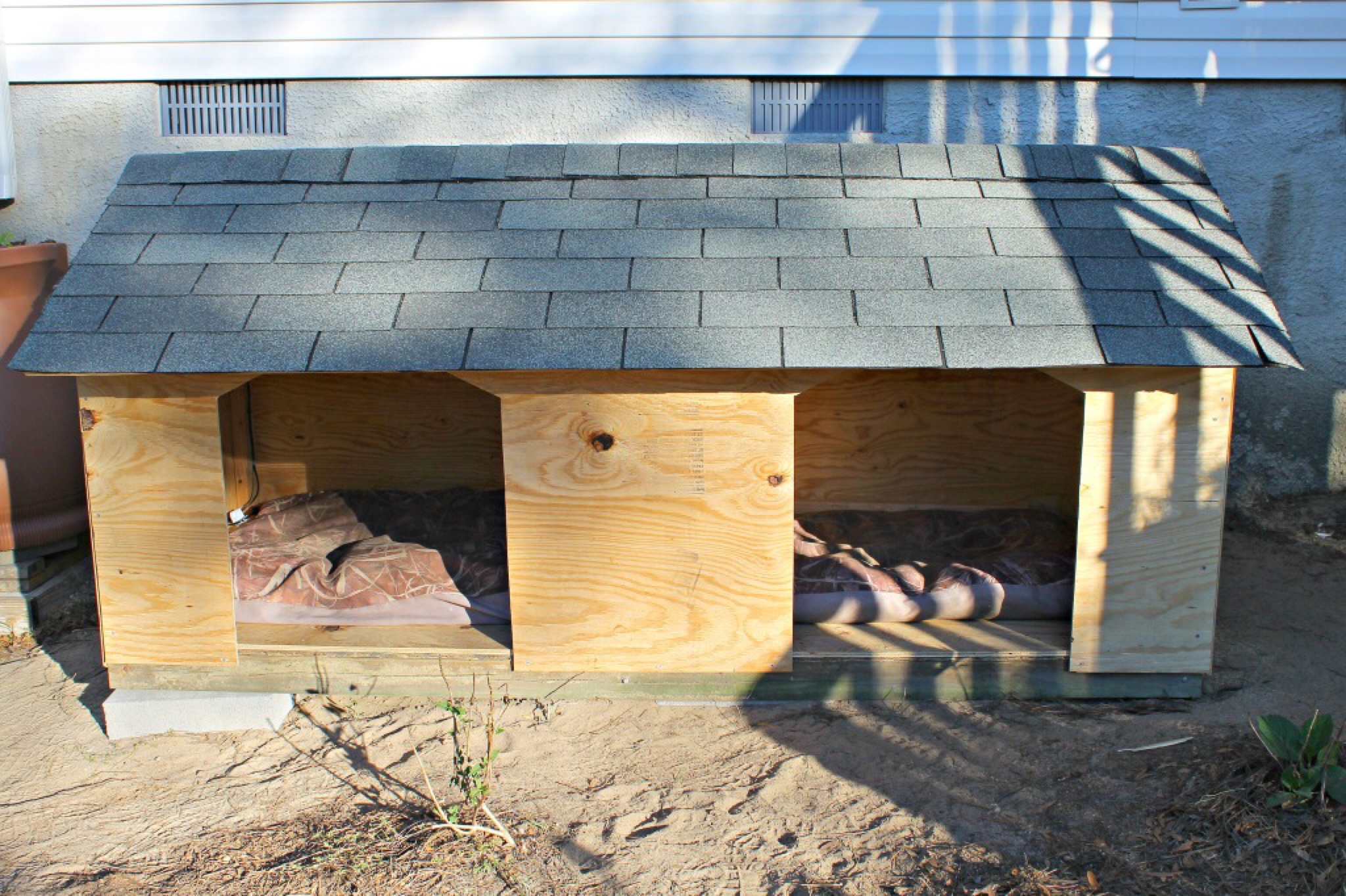 building a large dog house