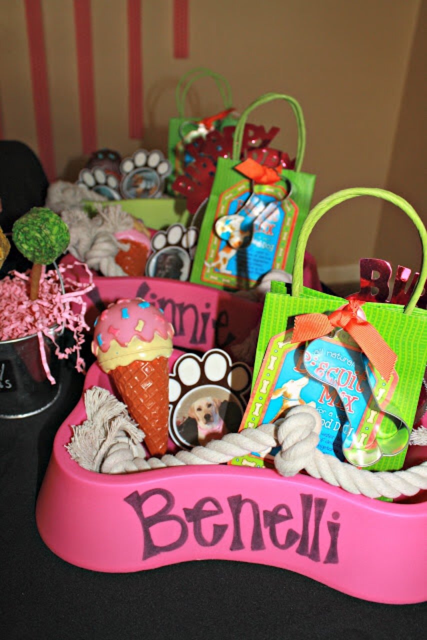5 Dog Birthday Parties Better Than Yours | Healthy Paws Pet Insurance
