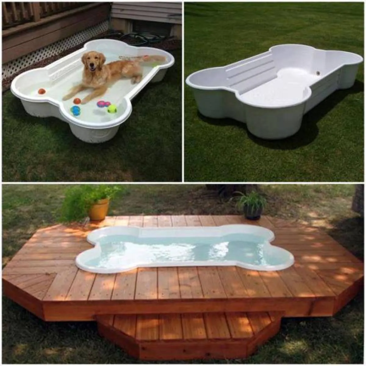 Build A Diy Dog Pool To Keep Your Pup Cool Healthy Paws focus for Backyard Dog Pool