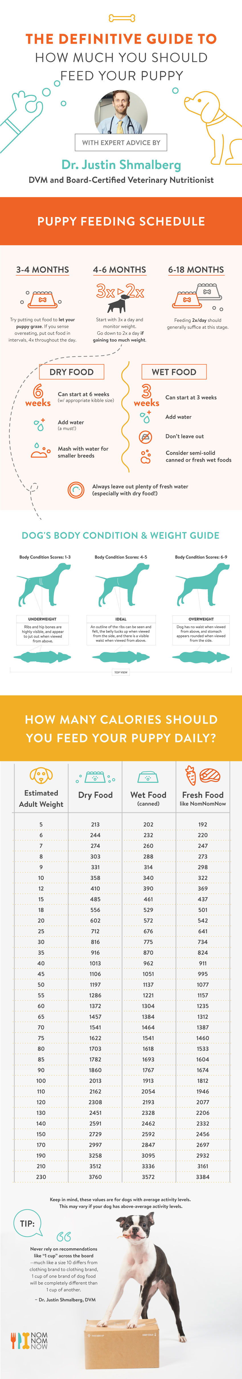Nom Nom Now's Definitive Guide to Feeding Your Puppy