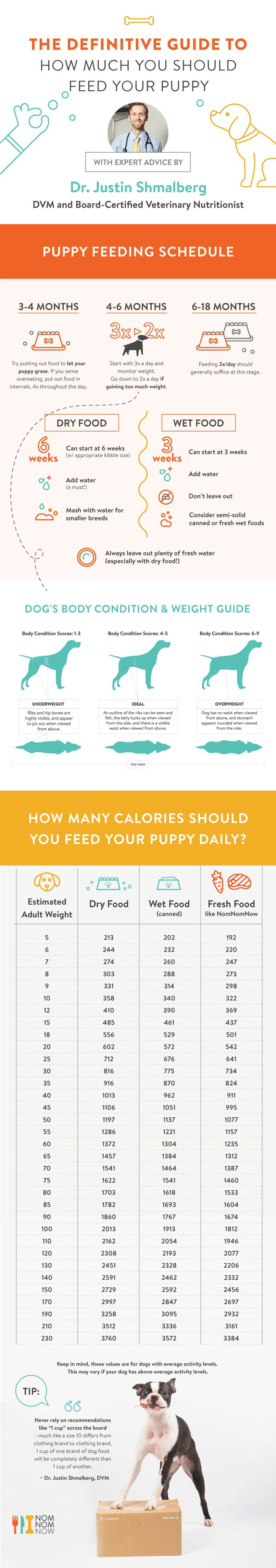 Nom Nom Now's Definitive Guide to Feeding Your Puppy ...