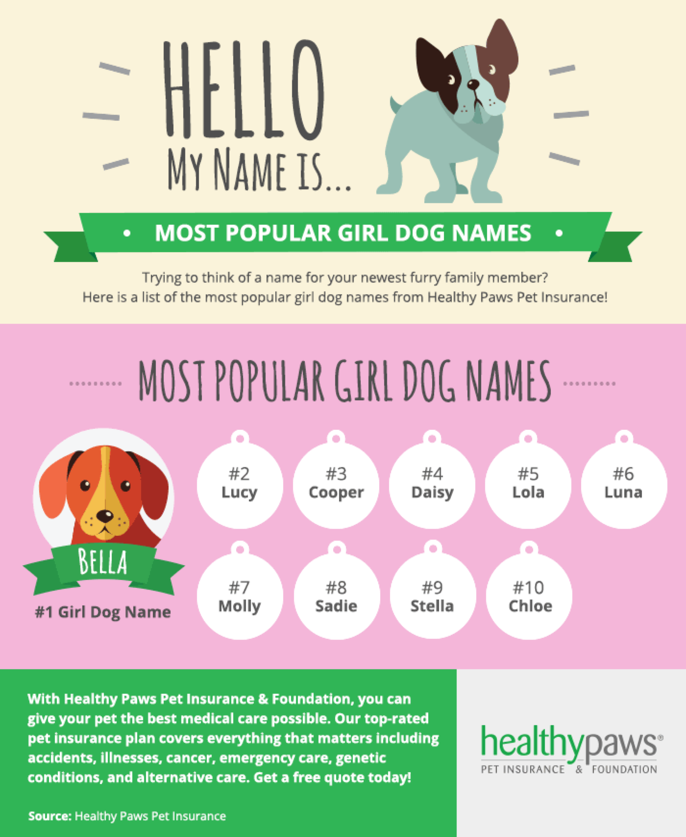 Most Popular Girl Dog Names Healthy Paws Pet Insurance
