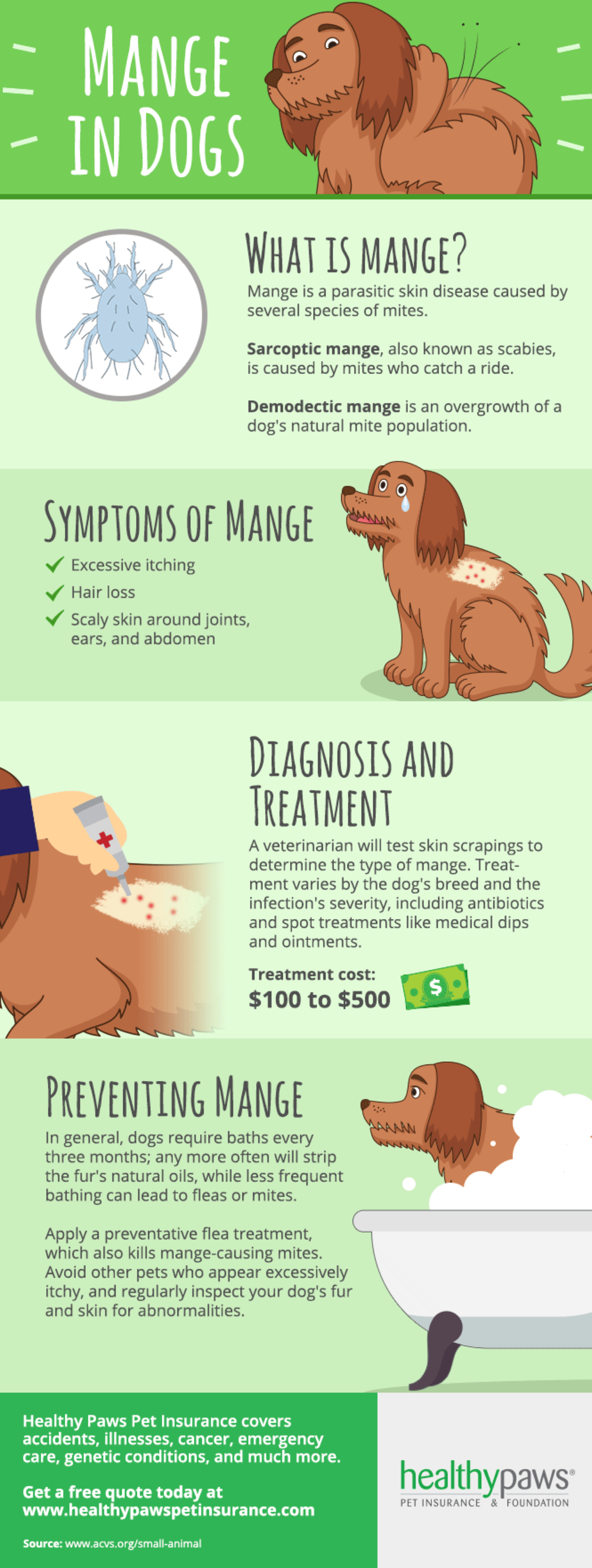 How To Treat Mange in Dogs Healthy Paws Pet Insurance